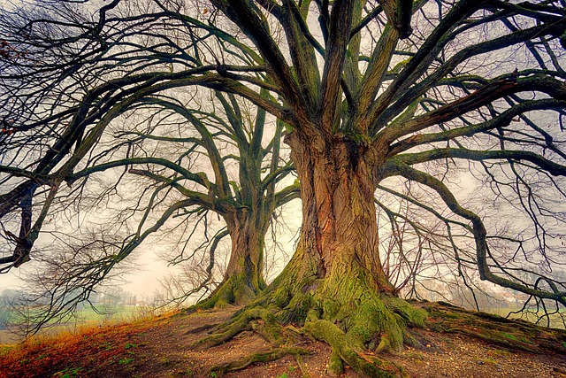 flow wood