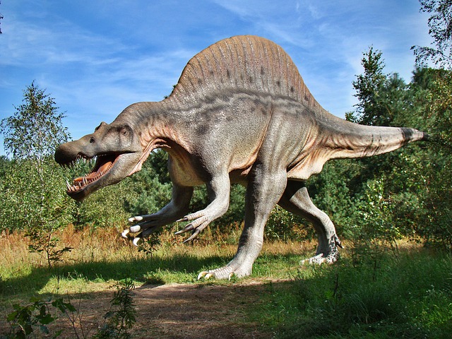 dinosaur