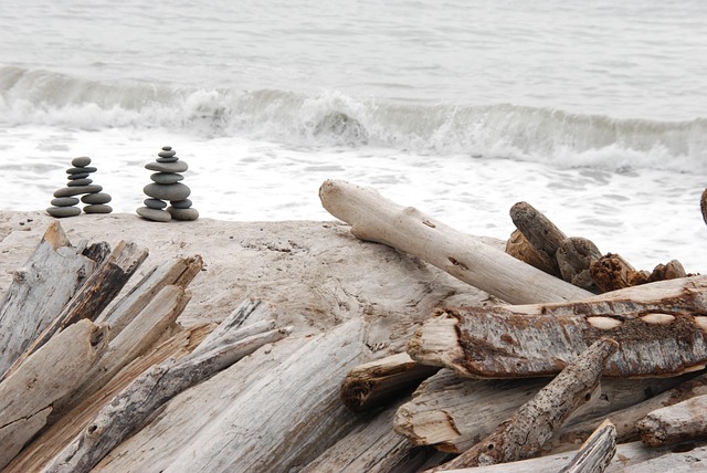 driftwood