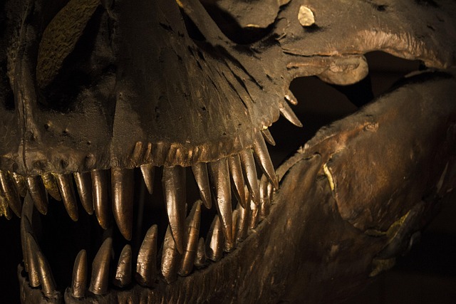 dinosaur