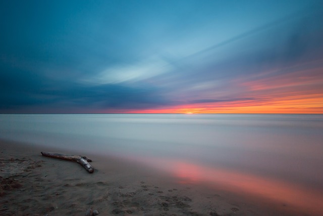 driftwood