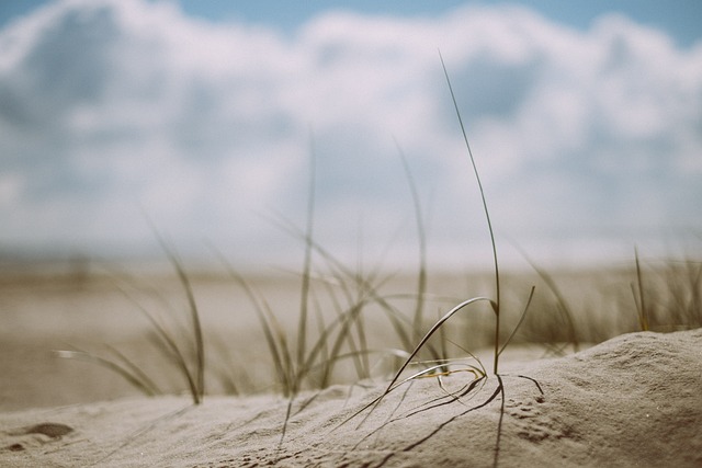 beach