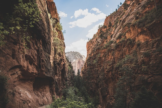 nature