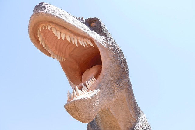 paleontology
