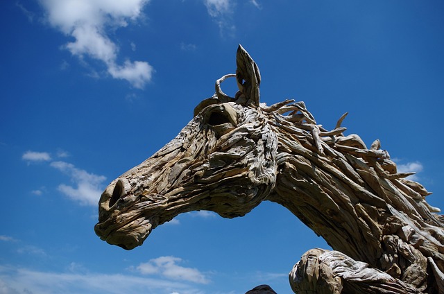 driftwood
