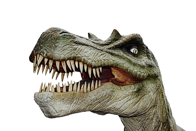 dinosaur