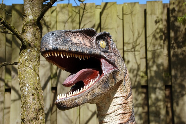 dinosaur
