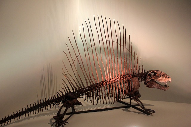 dinosaur