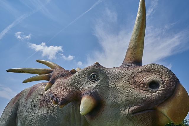 dinosaur