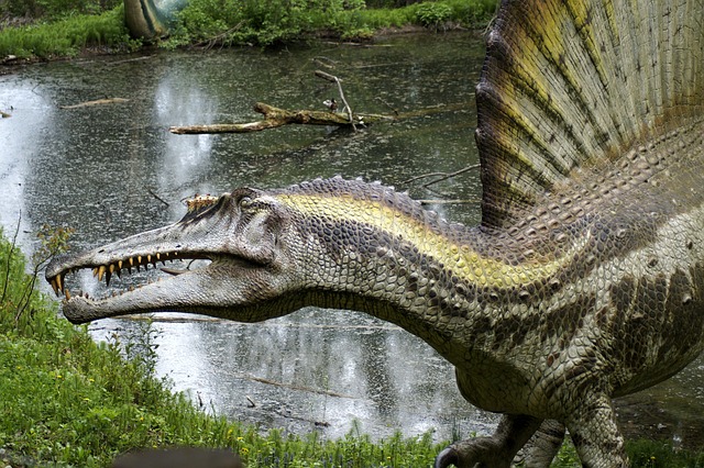 dinosaur