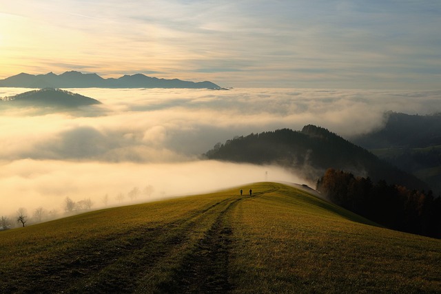 nature