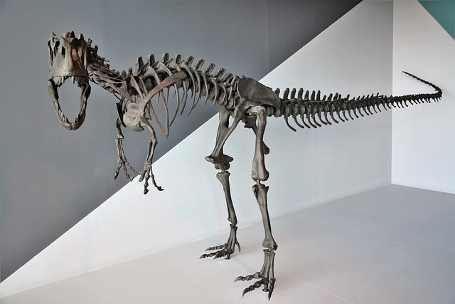 dinosaur