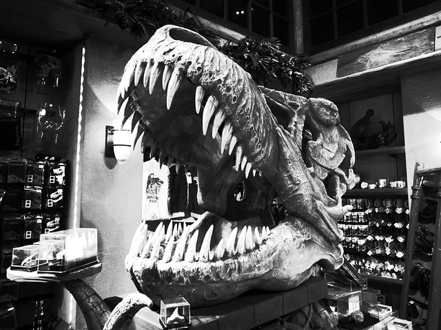 dinosaur