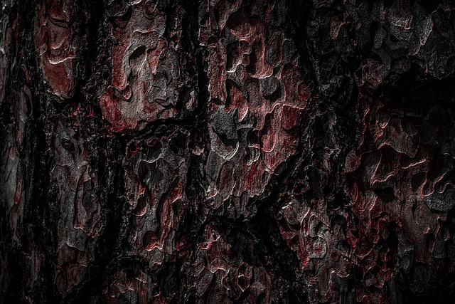 wood