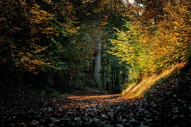 nature