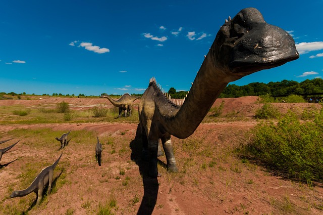 paleontology