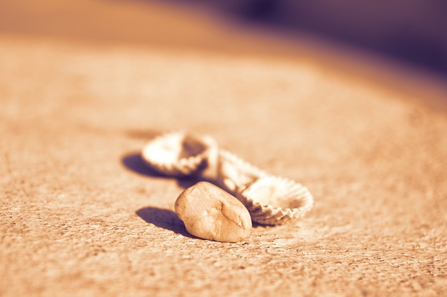beachcombing