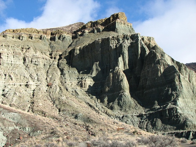 fossils