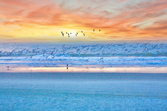 beach