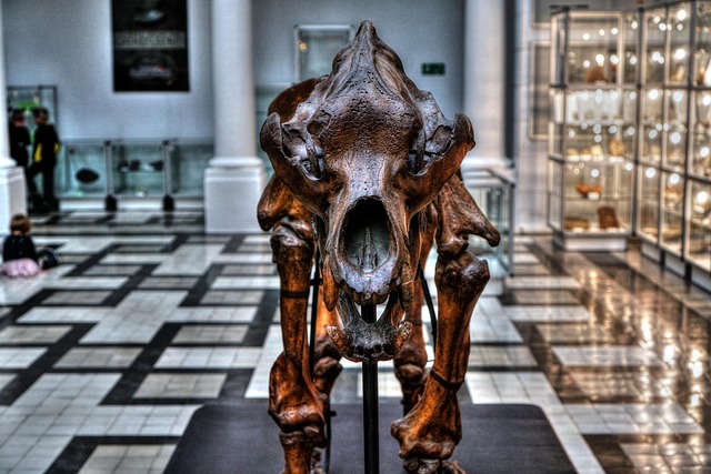 paleontology
