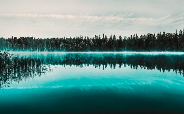 landscape