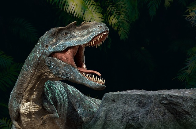 paleontology