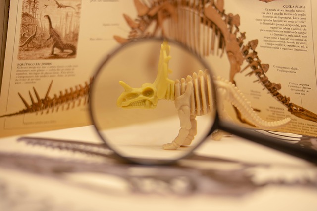dinosaur