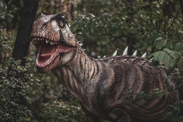 paleontology