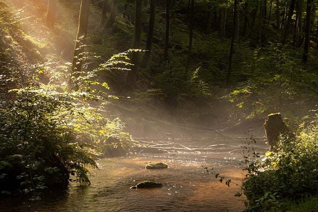 nature