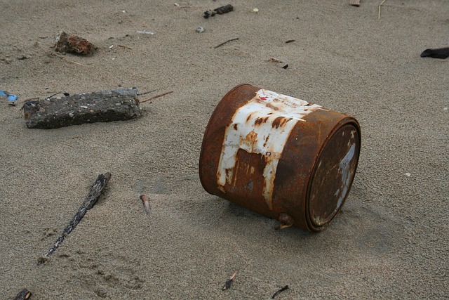 beachcombing