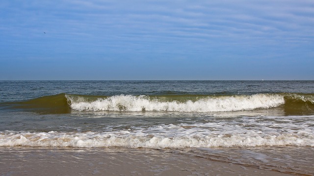beaches
