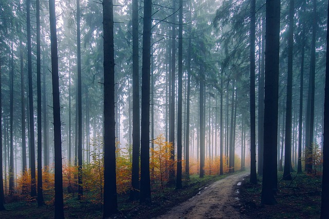 nature