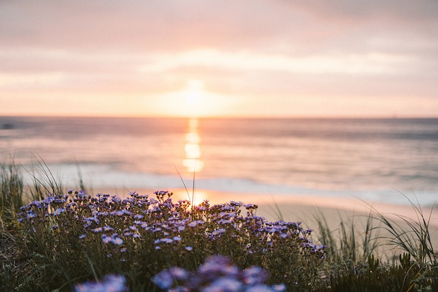 coastline
