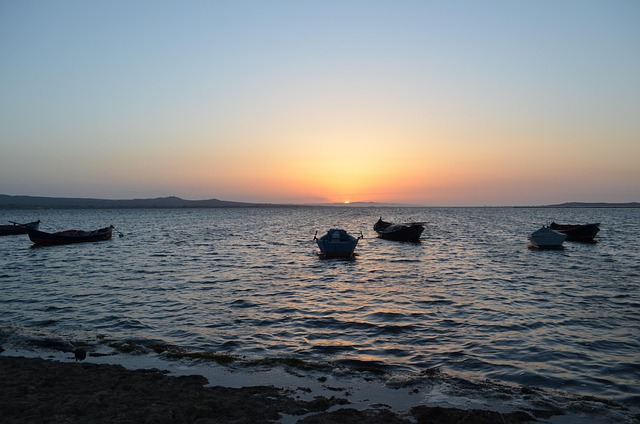 seashore