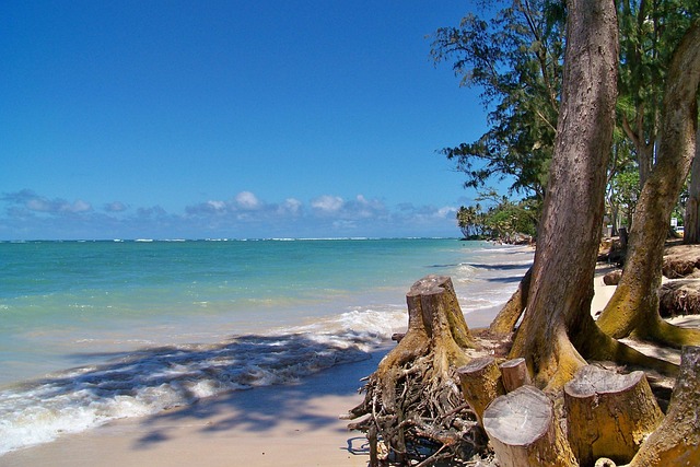 beaches