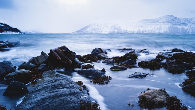 sea