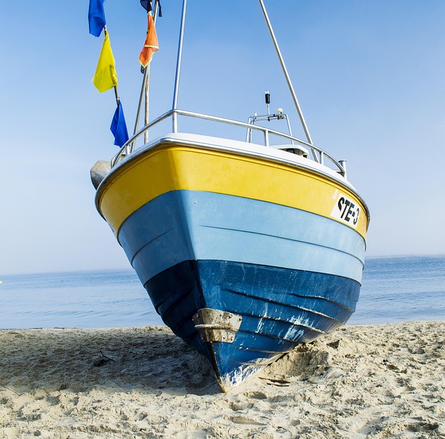 seashore