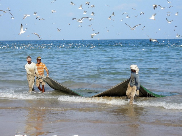fishing
